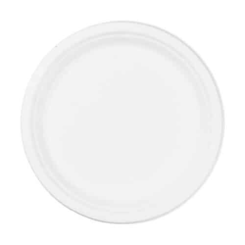 50 piatti da portata 26 cm/25,4 cm Bagasse OVAL piatti usa e getta biodegradabili e 100% ecologico non alternative piatti di plastica. 
