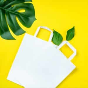 Shoppers bianco con manici in carta ecologica 35 25X25 cm 200 pz