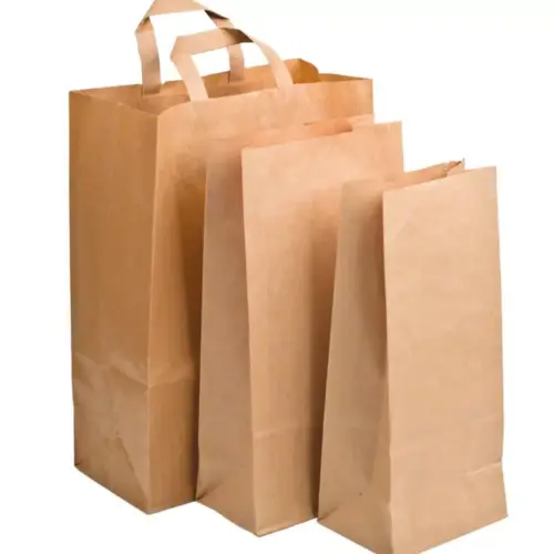 Sacs shopping écologiques en papier brun