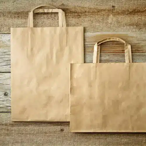 Sacs shopping écologiques en papier kraft