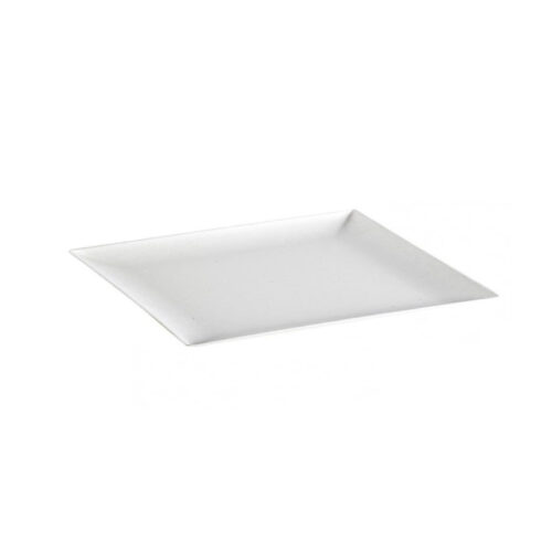 Vassoi-in-polpa-di-cellulosa-e-PLA-9x18-cm-100-pz