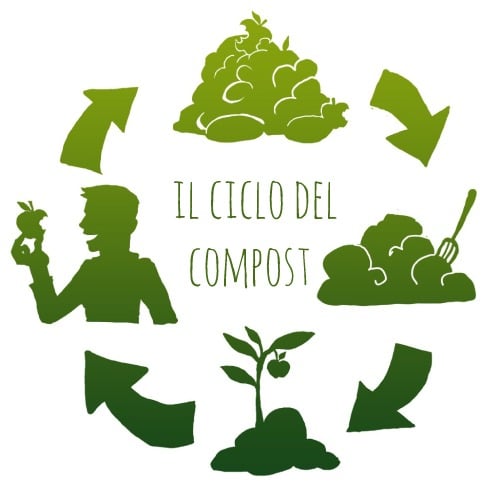 dove-si getta-il-monouso-compostabile
