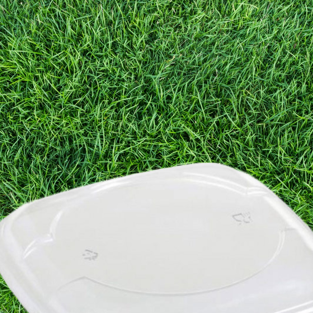 Coperchi quadrati per piatti in pla ecofriendly