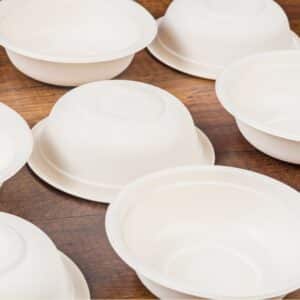 Piatti fondi avana compostabili ecofriendly