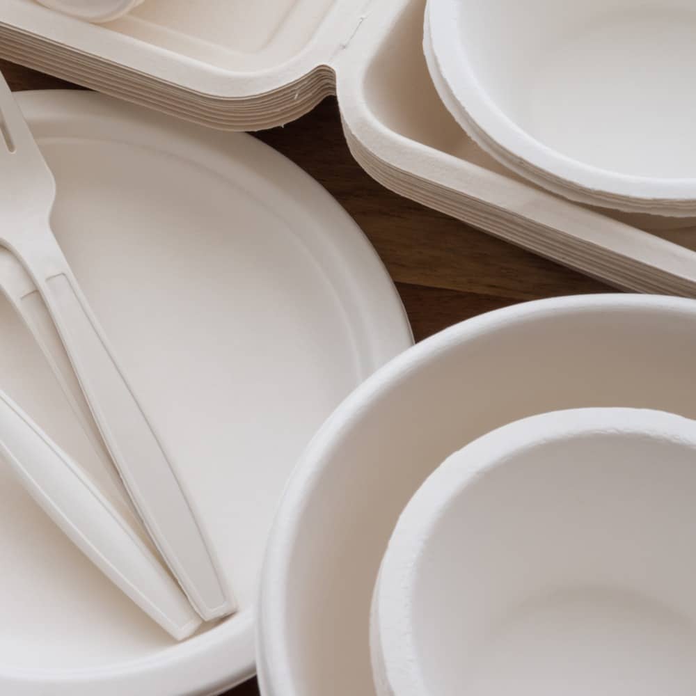 Piatti fondi avana compostabili usa e getta