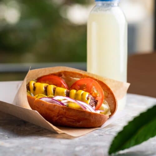 Porta hot dog ecologico compostabile