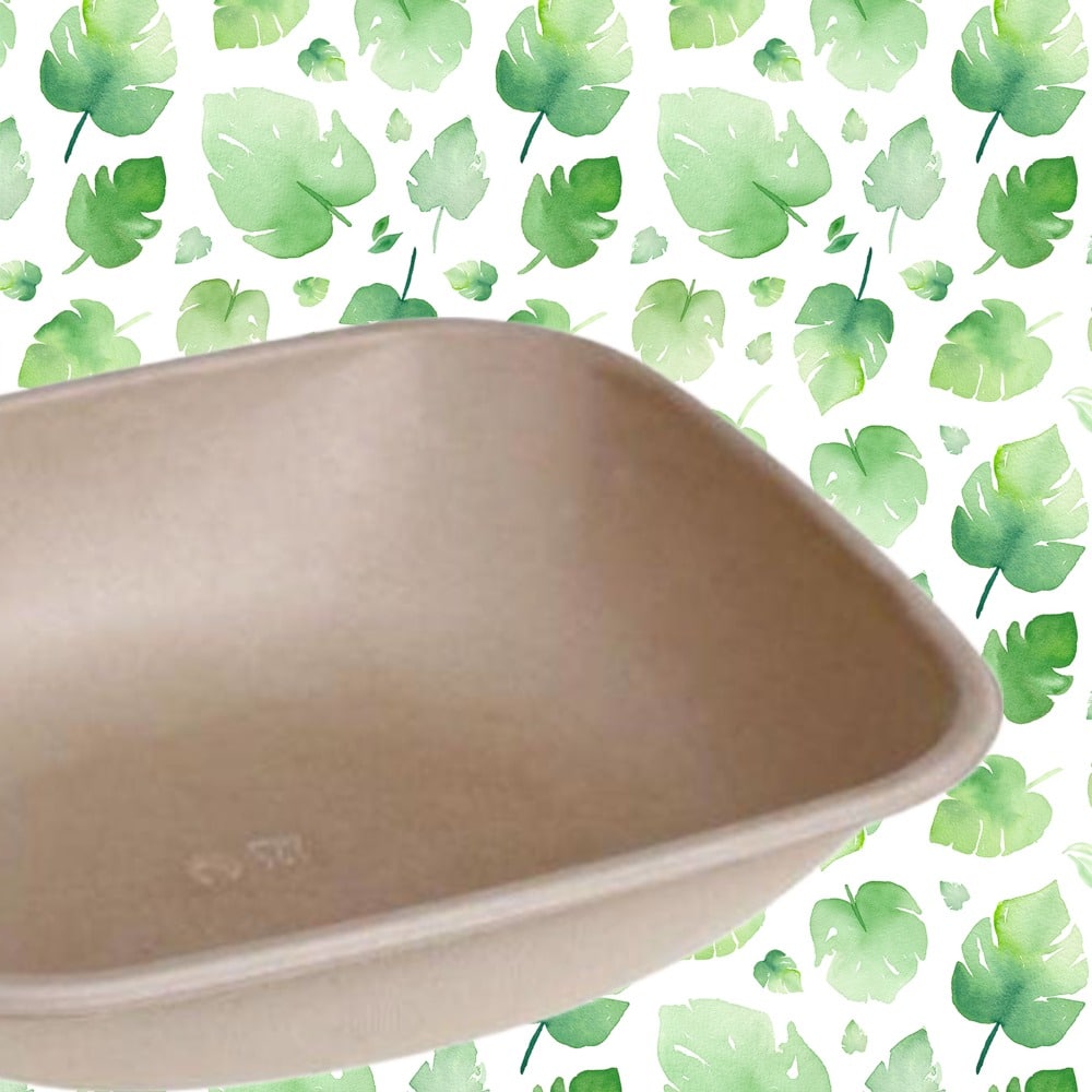 piatti fondi design quadrato monouso