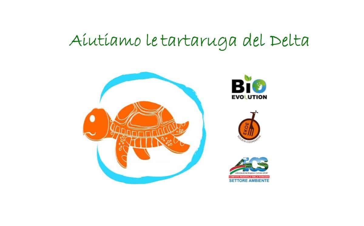 Cannucce in carta - Bio Cannucce di BioEvolution Srl