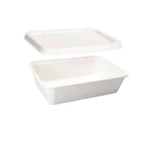 Contenitore compostabile da asporto per alimenti da 500 ml