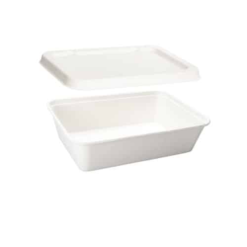 Contenitore compostabile da asporto per alimenti da 500 ml