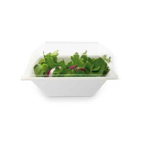 ciotole ecologiche e compostabili quadrate 16 cm