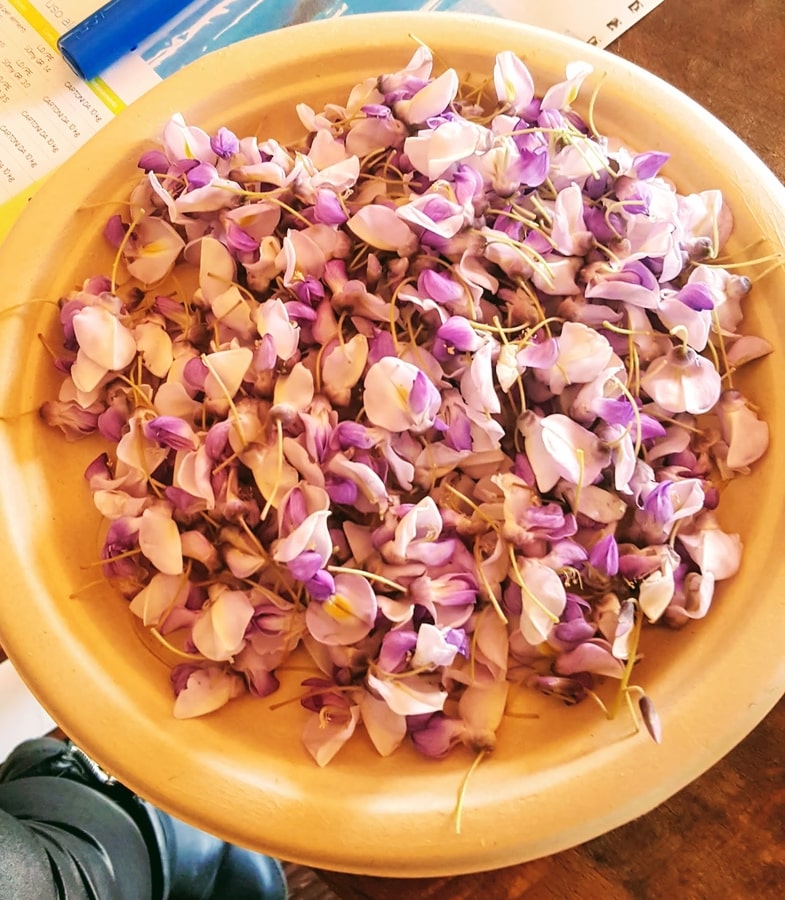 piatti biodegradabile