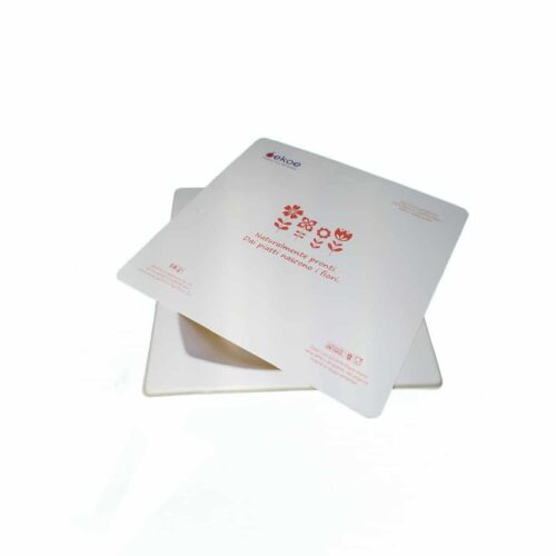 piatti compostabili in canna da zucchero con coperchio