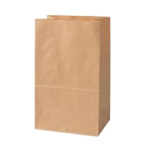 sacchetto carta kraft 15x10x25 cm