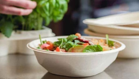 stoviglie usa e getta in materiali sostenibili per slow food
