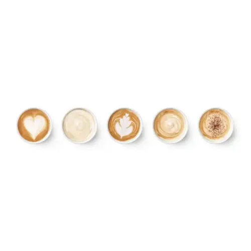 gobelets en carton jetable biodegradables