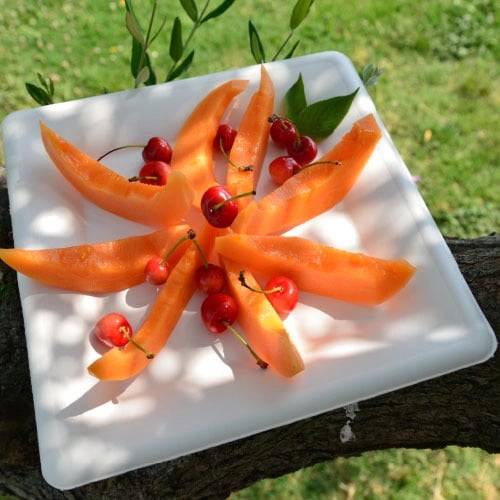 ASSIETTES ÉCOLOGIQUES COMPOSTABLES
