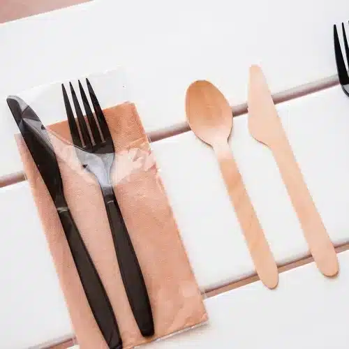 Couvert jetable et serviette écologique