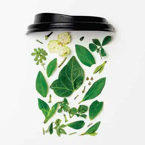 GOBELETS JETABLES COMPOSTABLE
