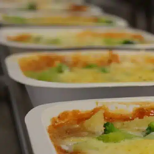 vaschette per cibi da asporto compostabili prodotti con materiali di origine vegetale