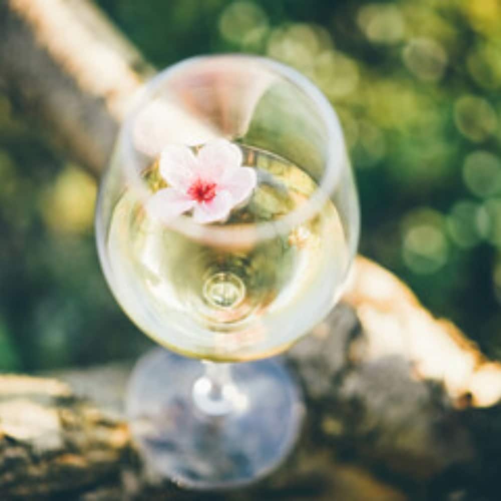 Calici da degustazione in policarbonato eco-sostenibili