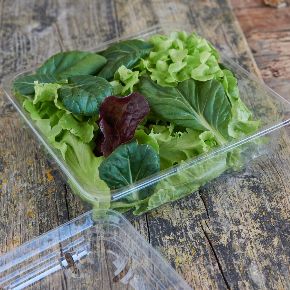contenitori trasparenti con coperchio per alimenti 1800ml