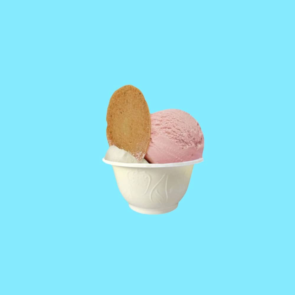 vaschetta per gelato a basso impatto ambientale