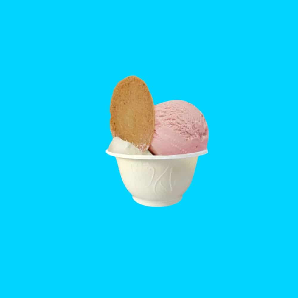 coppette per gelato monouso