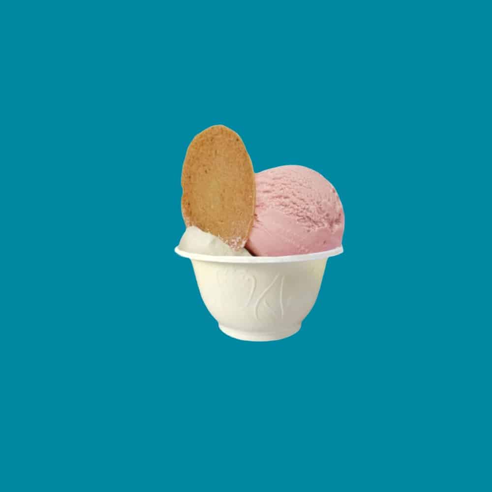 coppette per gelato monouso