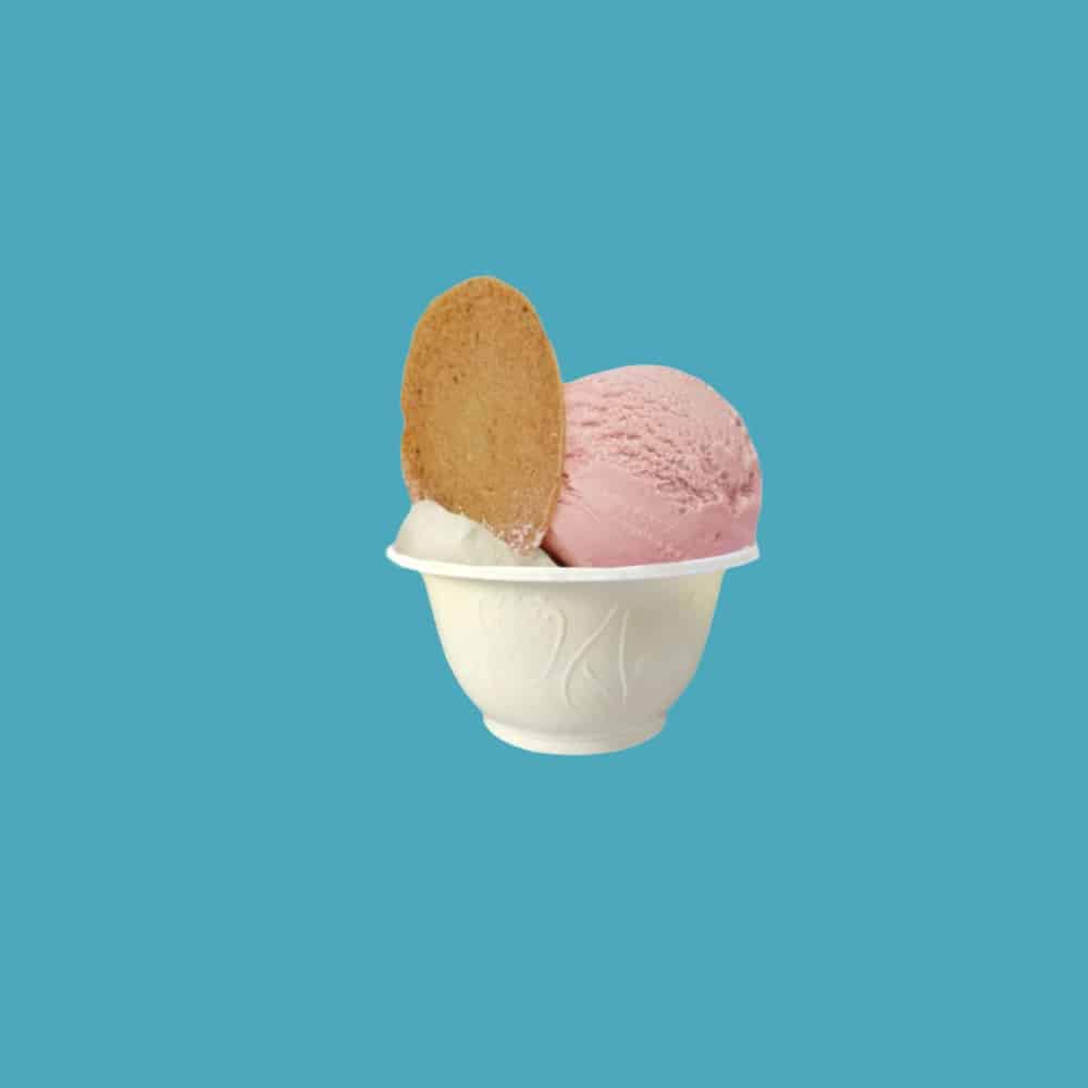coppette per gelato monouso