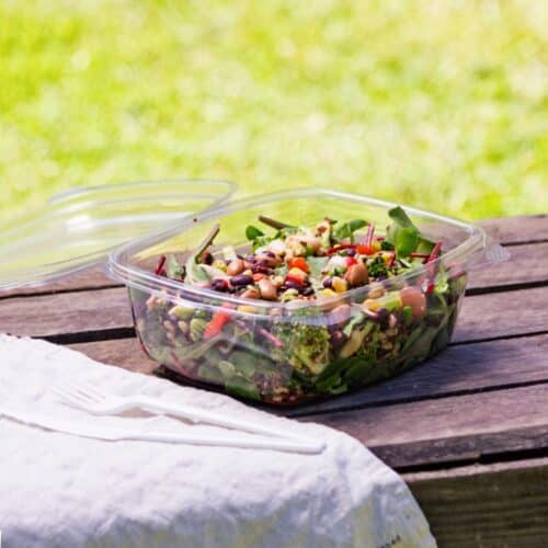 Contenitori in bioplastica  compostabili