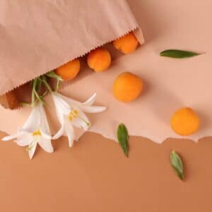 sacchetti in carta kraft avana