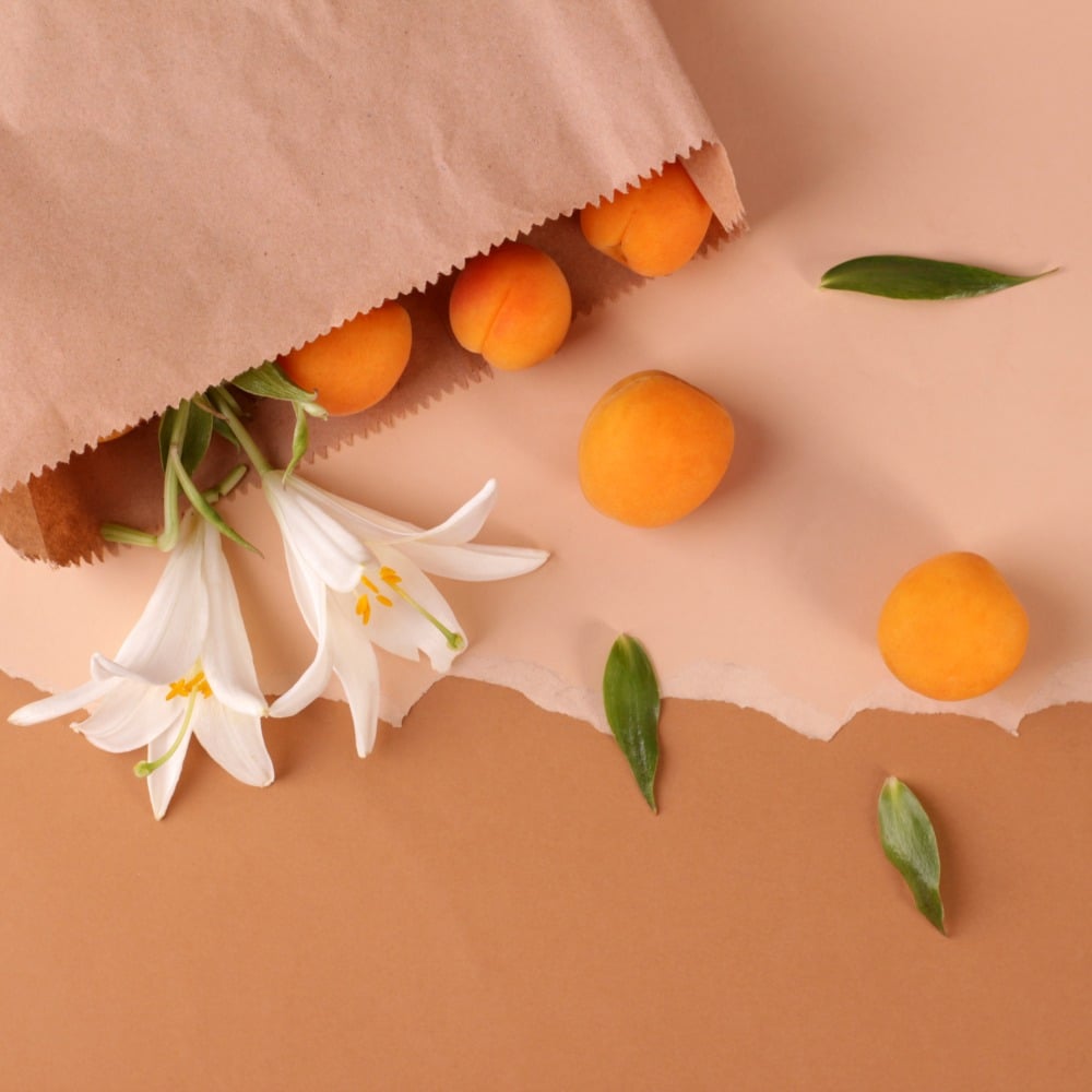 vaschetta per gelato a basso impatto ambientale