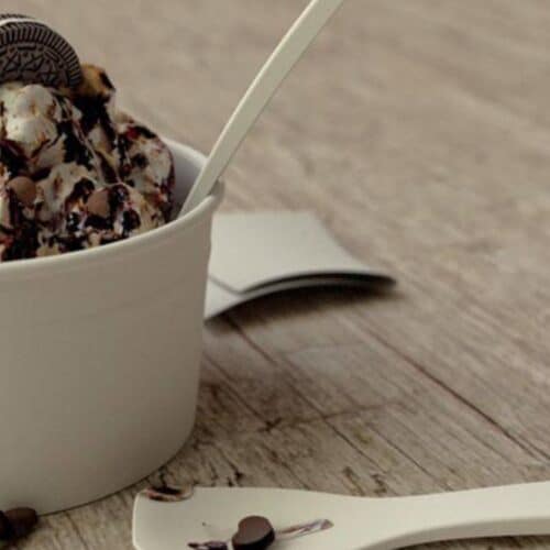 Paletta gelato imbustata compostabile