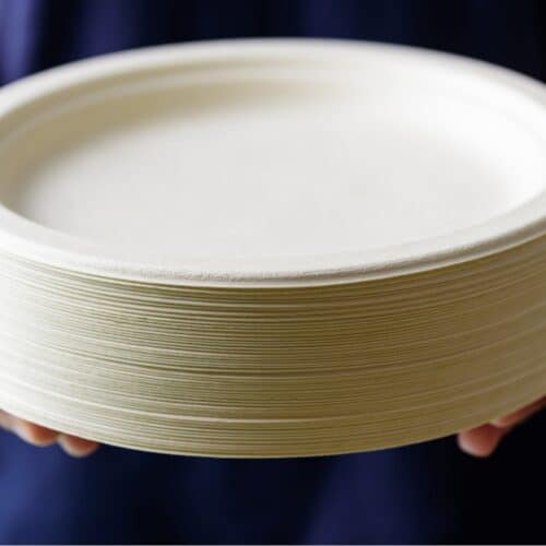 Piatti biocompostabili usa e getta