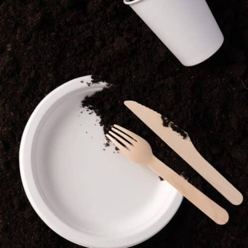 Piatti biocompostabili usa e getta ecologici