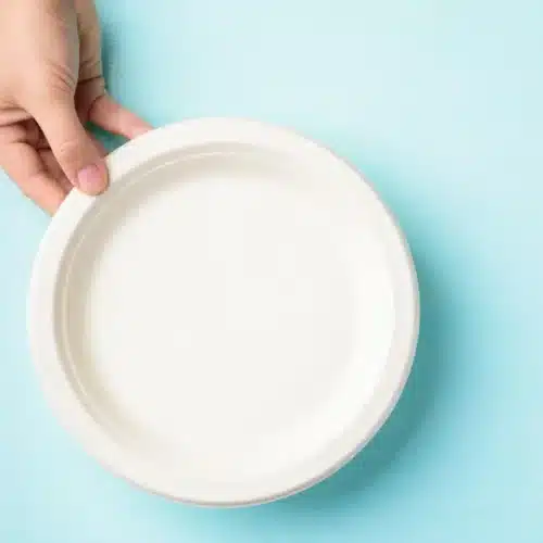 Piatti grandi biocompostabili plastic free