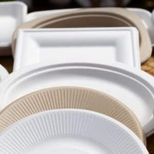 Piatti ovali monouso plastic free