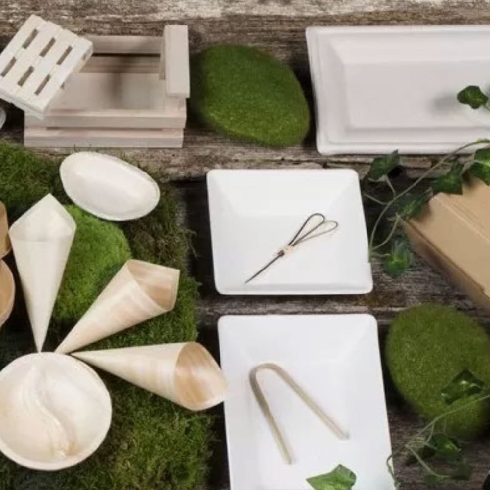 Piatti quadrati monouso ecologici ecofriendly