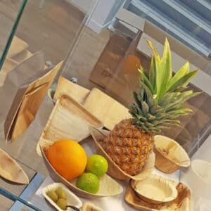 Piatti triangolari in foglia di palma compostabili