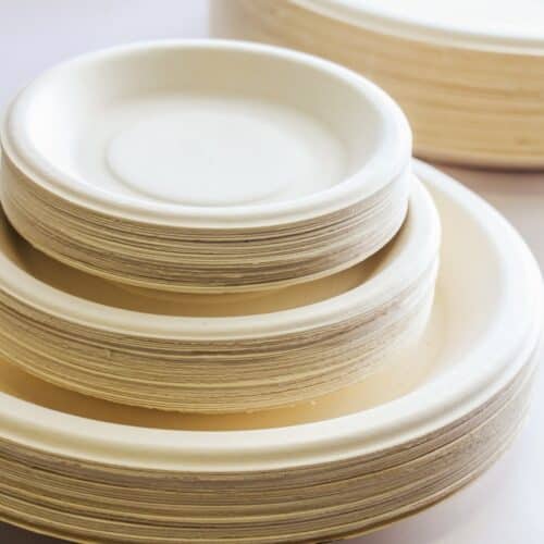 Piattini monouso compostabili ecologici