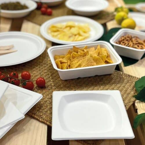 Vaschette per alimenti da banco compostabili