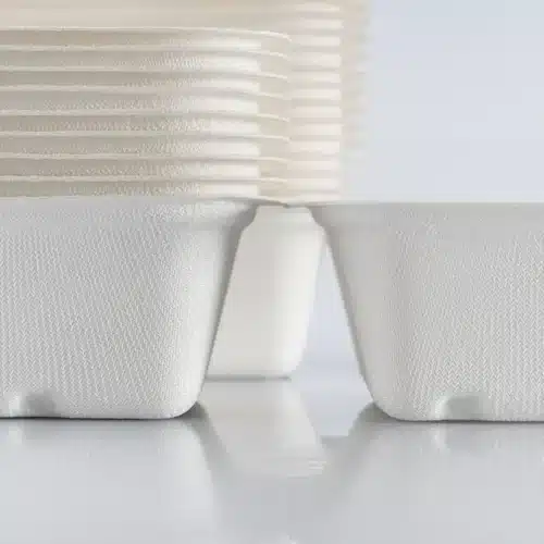 Vaschette per alimenti professionali compostabili
