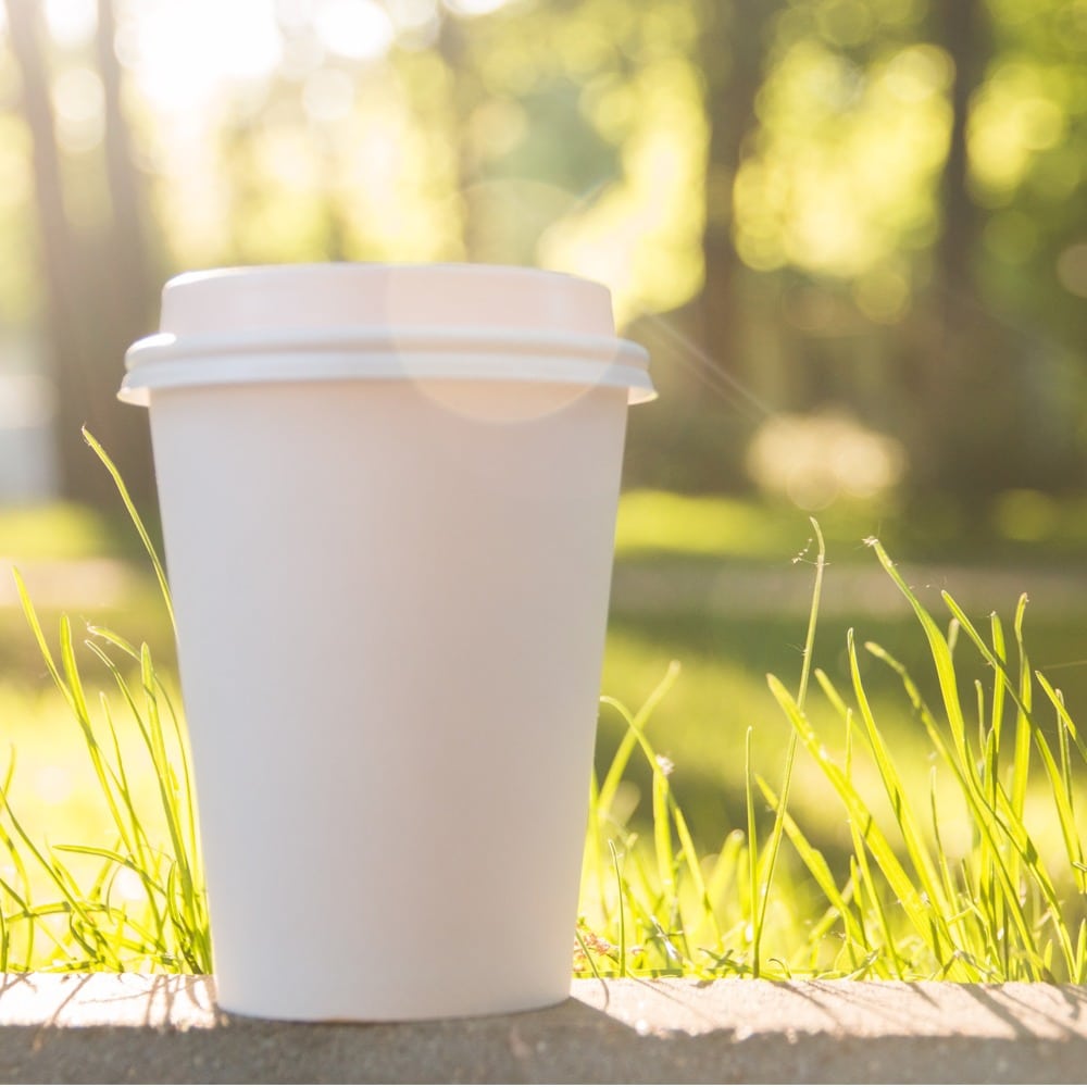 gobelets à cappuccino biodégradables à emporter
