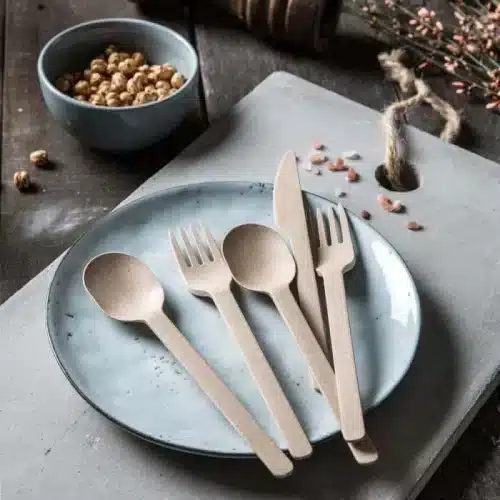 coltello forchetta e cucchiaio riutilizzabili