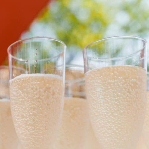 flute monouso prosecco biodegradabile