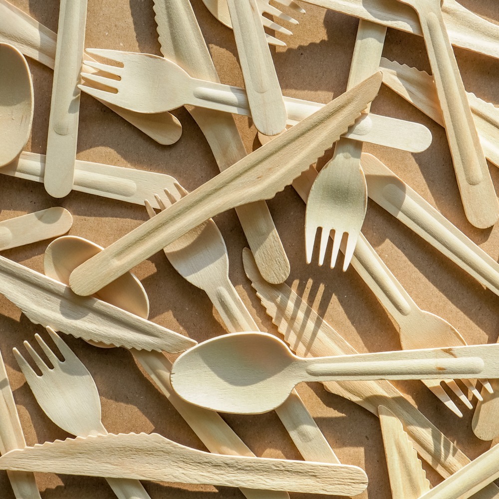 forchette in legno monouso