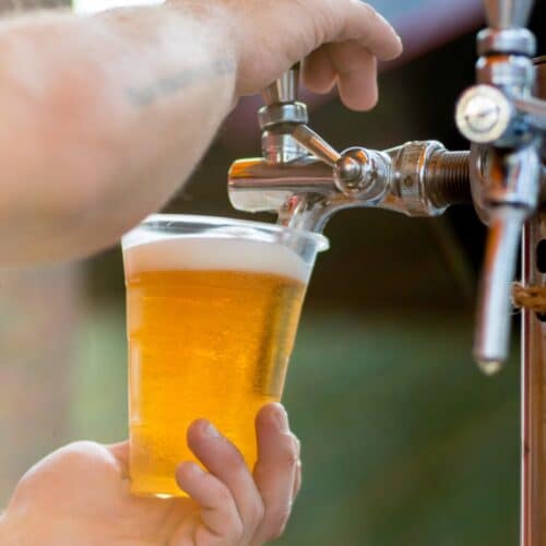 kit birra compostabile