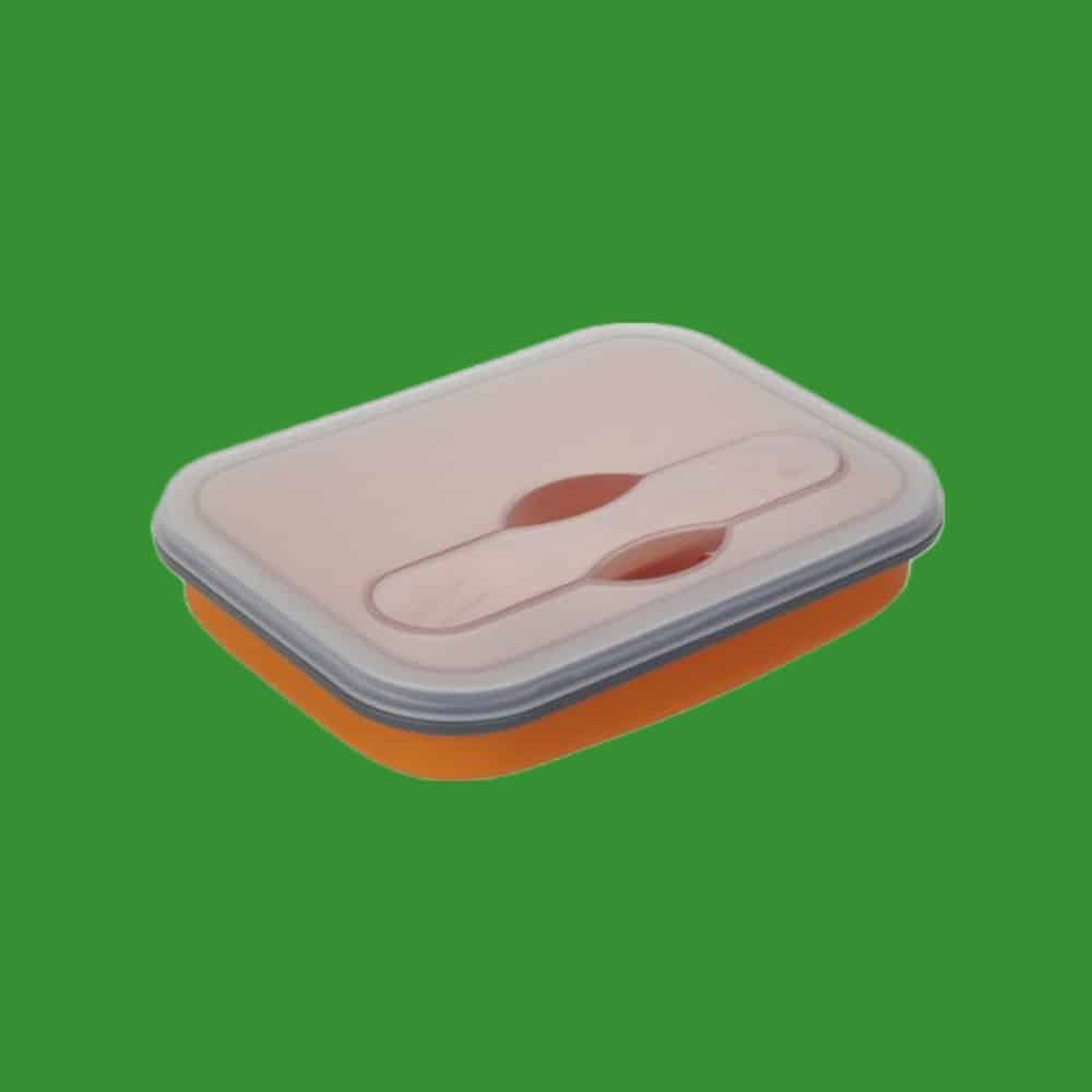 lunchbox in plastica