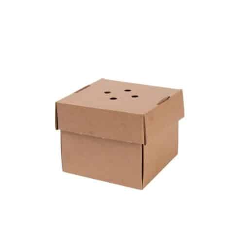 scatole per hamburger compostabili
